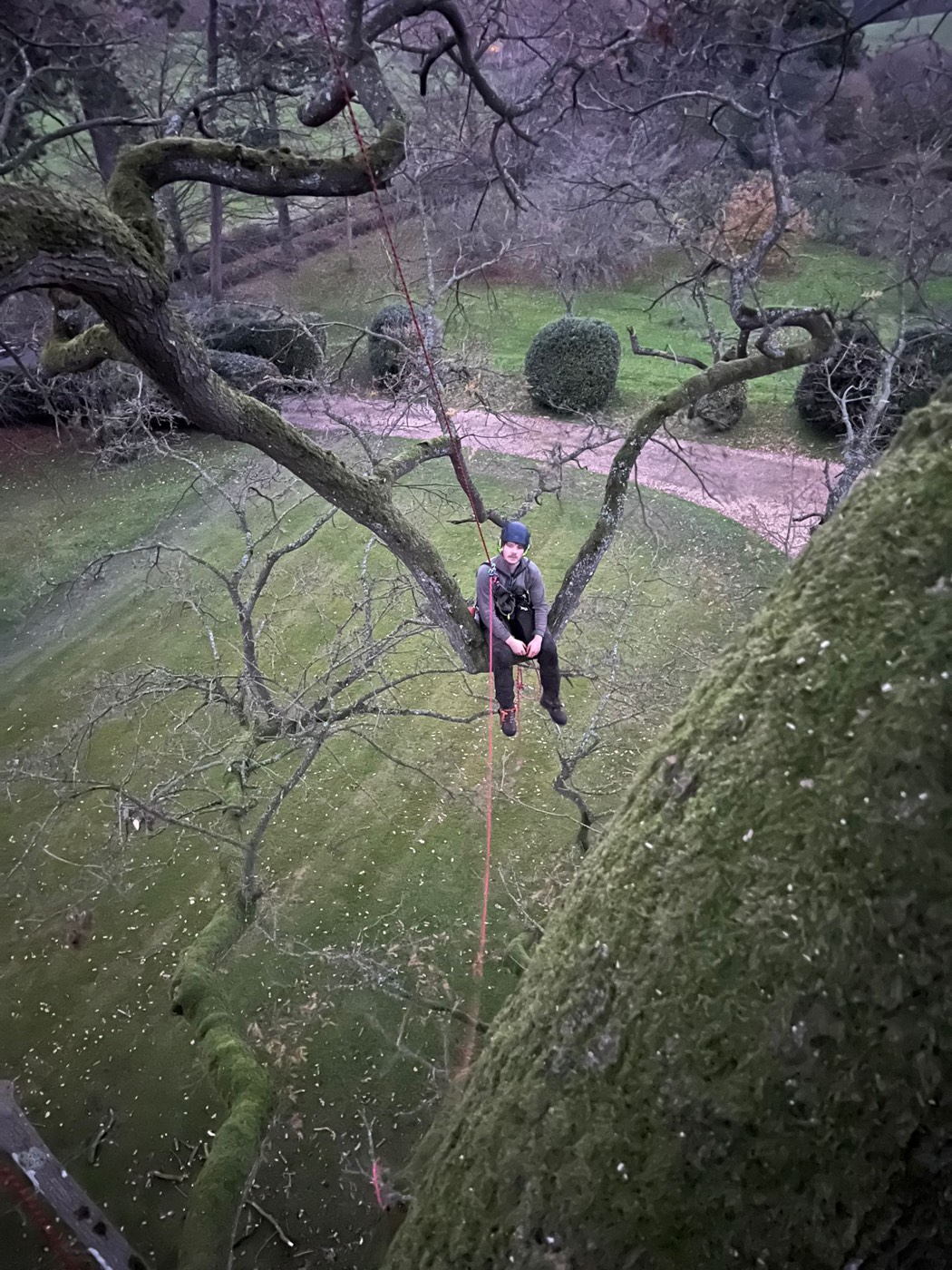 Roped down over the lawn, Somerset